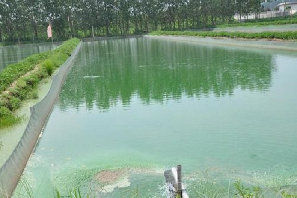 漁業(yè)養(yǎng)殖水質(zhì)檢測 漁業(yè)養(yǎng)殖水質(zhì)檢測